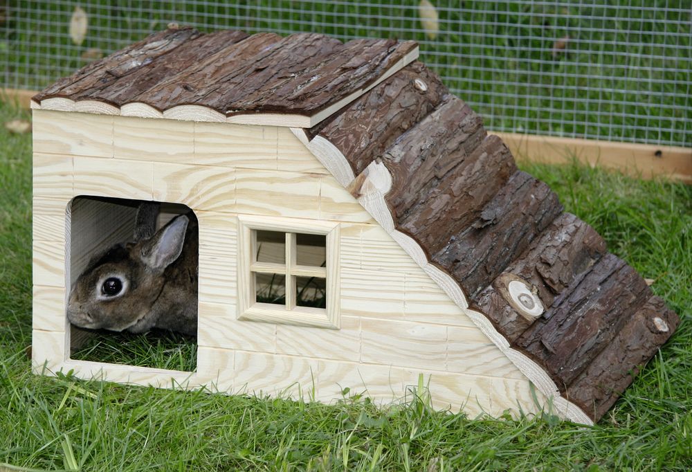 Nagerhaus mit Rampe Nature