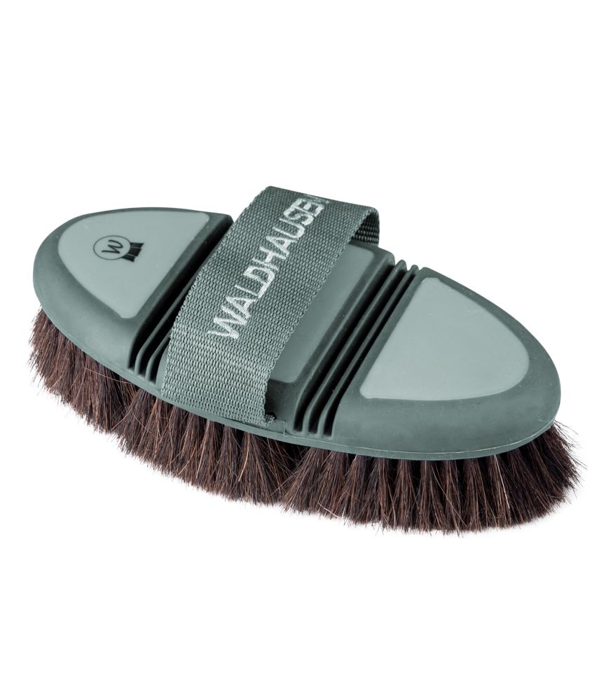 WALDHAUSEN Flex Kardätsche mit Rosshaar