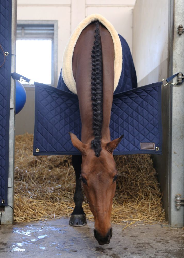 KENTUCKY® HORSEWEAR Stable Guard, marine