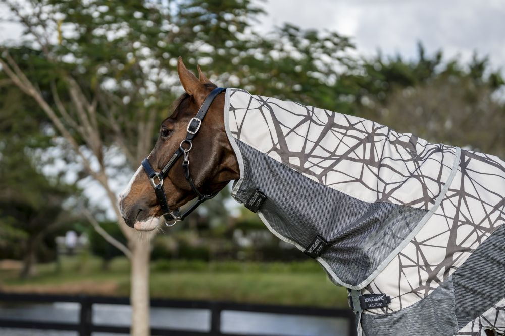 HORSEWARE® Fliegendecke Amigo ® CamoFly 3-in-1 Plus, CamoFly Print/grey 
