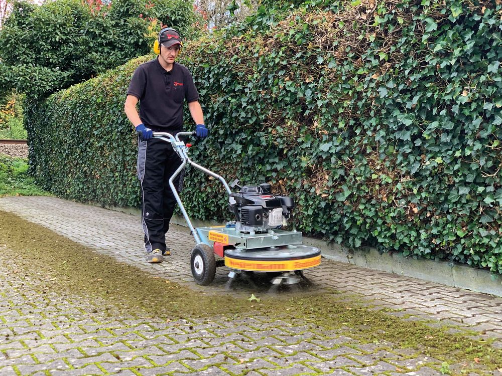 WESTERMANN Wildkrautbürste WKB 660 Honda