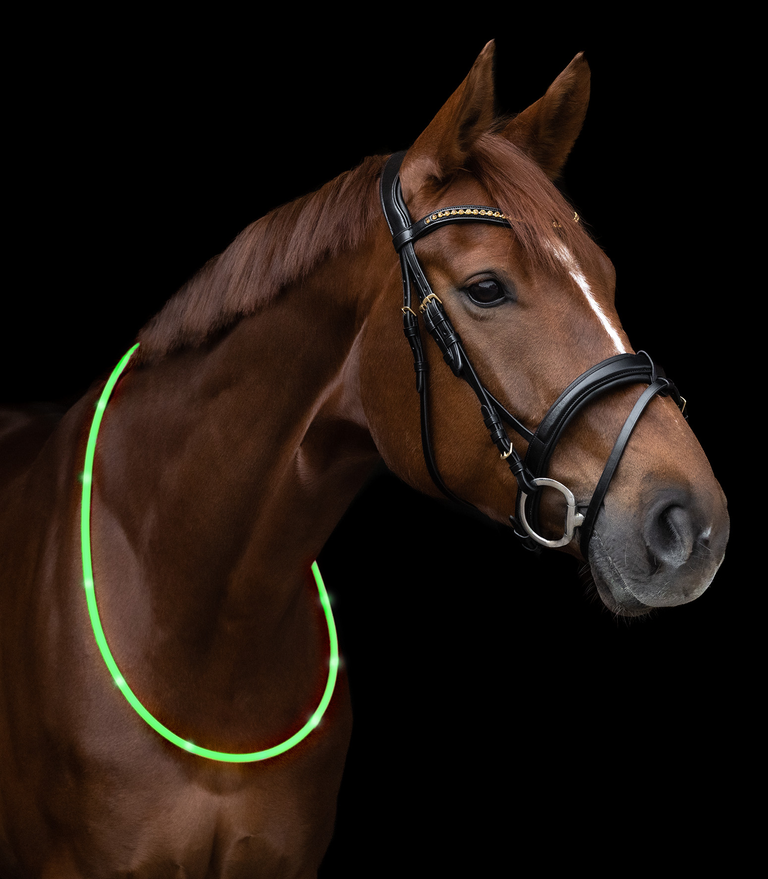 WALDHAUSEN LED-Halsriemen, grün