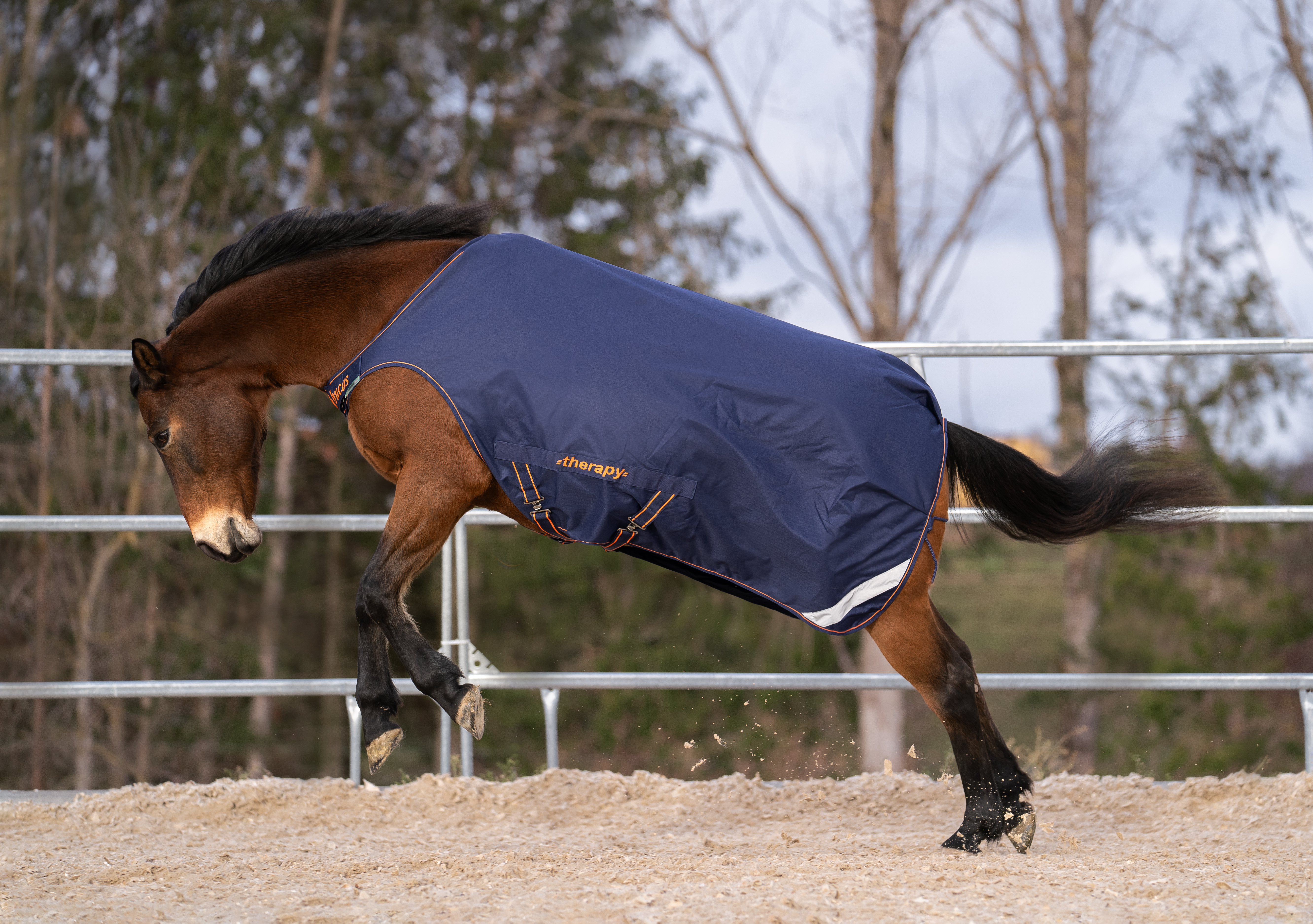 BUCAS Therapy Walker, navy/orange