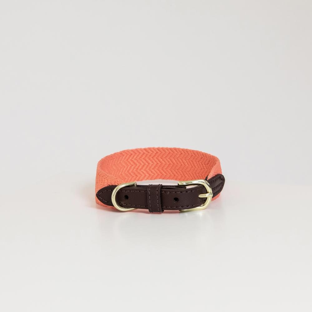 KENTUCKY® DOGWEAR Hundehalsband Jacquard, neon orange