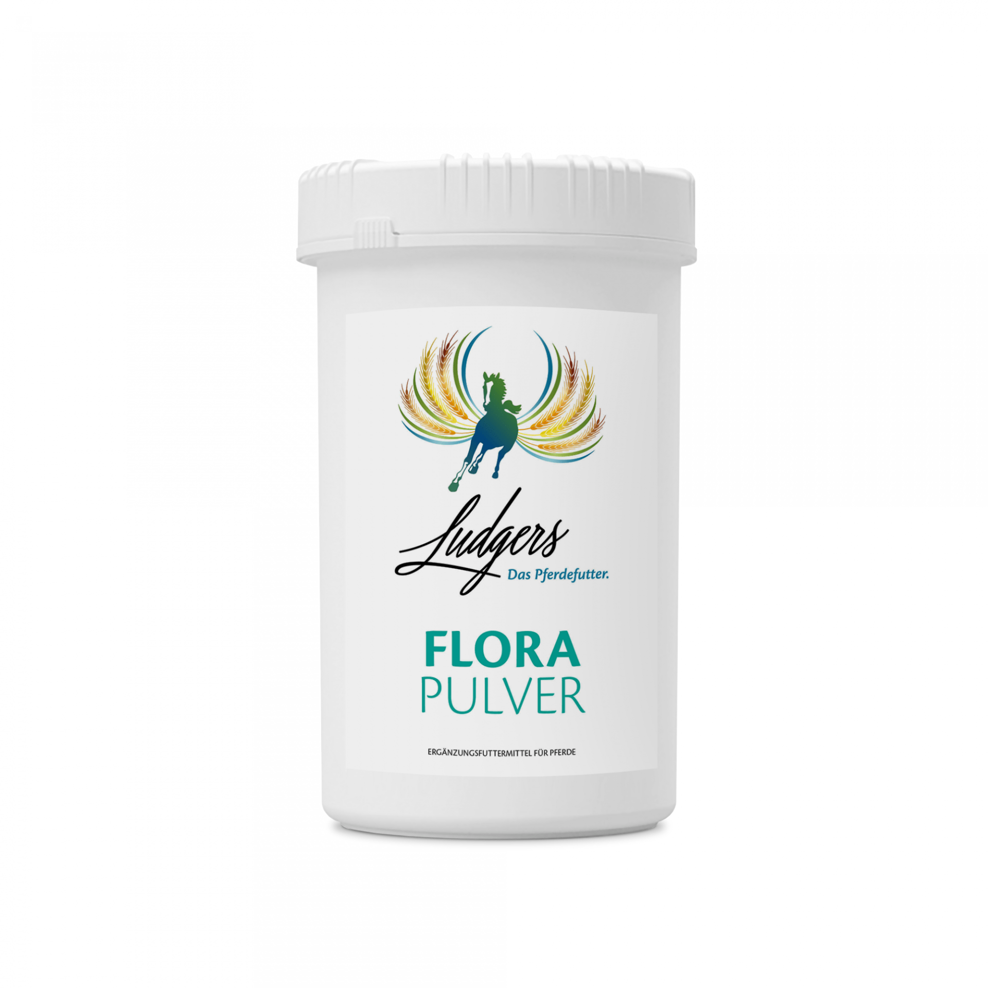 LUDGERS N FLORA | PULVER 