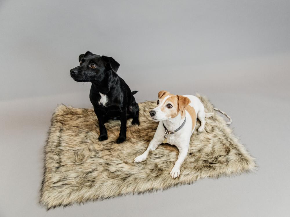 KENTUCKY® DOGWEAR Hundedecke Fuzzy To Go, braun