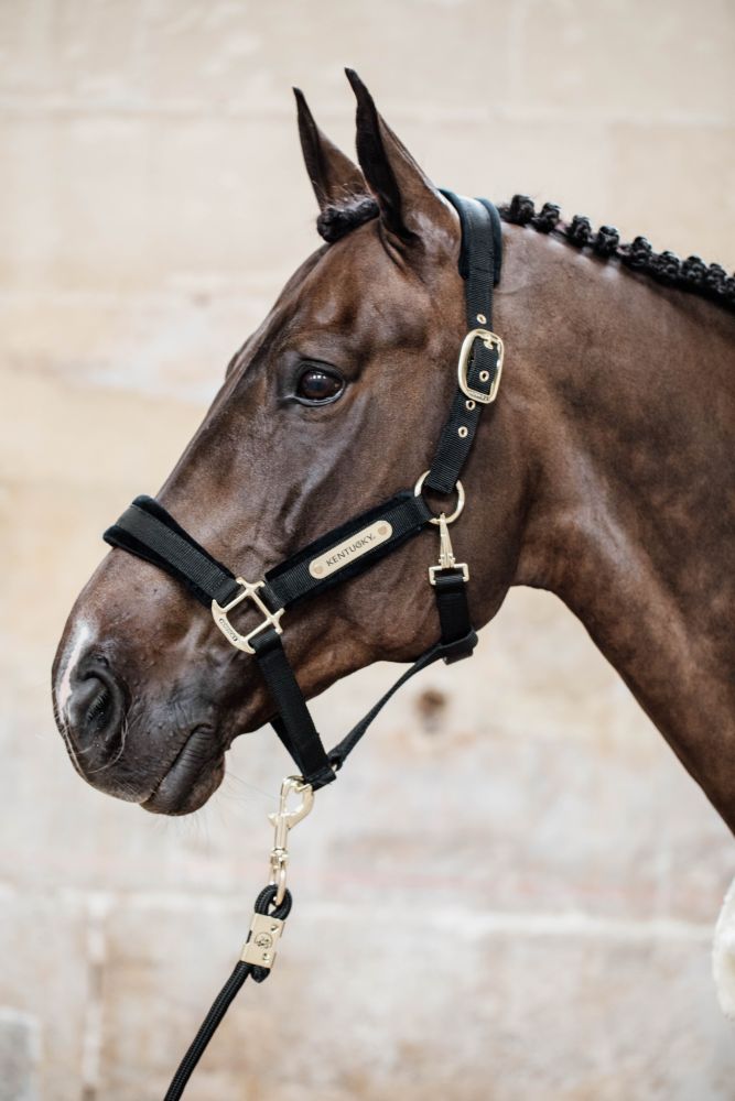 KENTUCKY® HORSEWEAR Velvet Halfter, schwarz