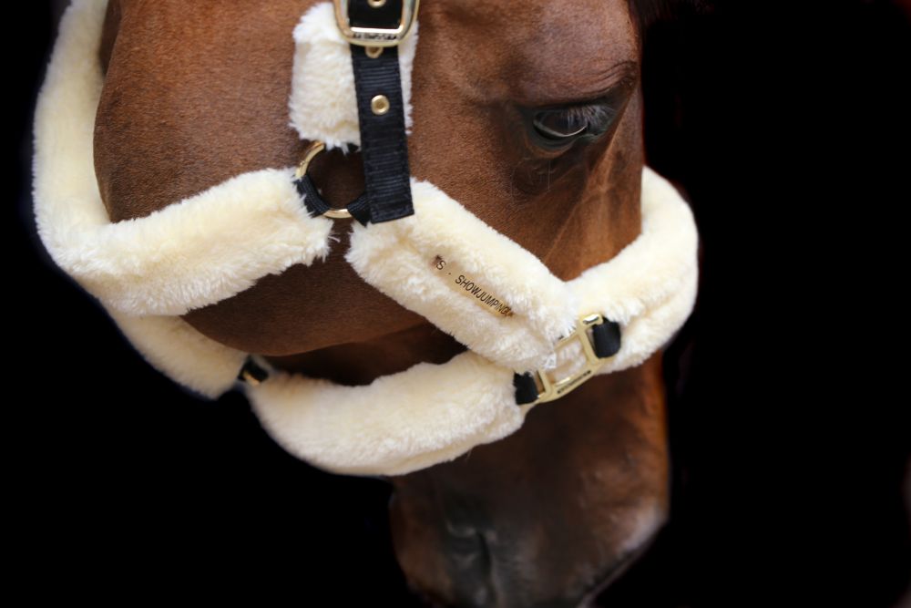 KENTUCKY® HORSEWEAR Lammfell Transport-Halfter, natur