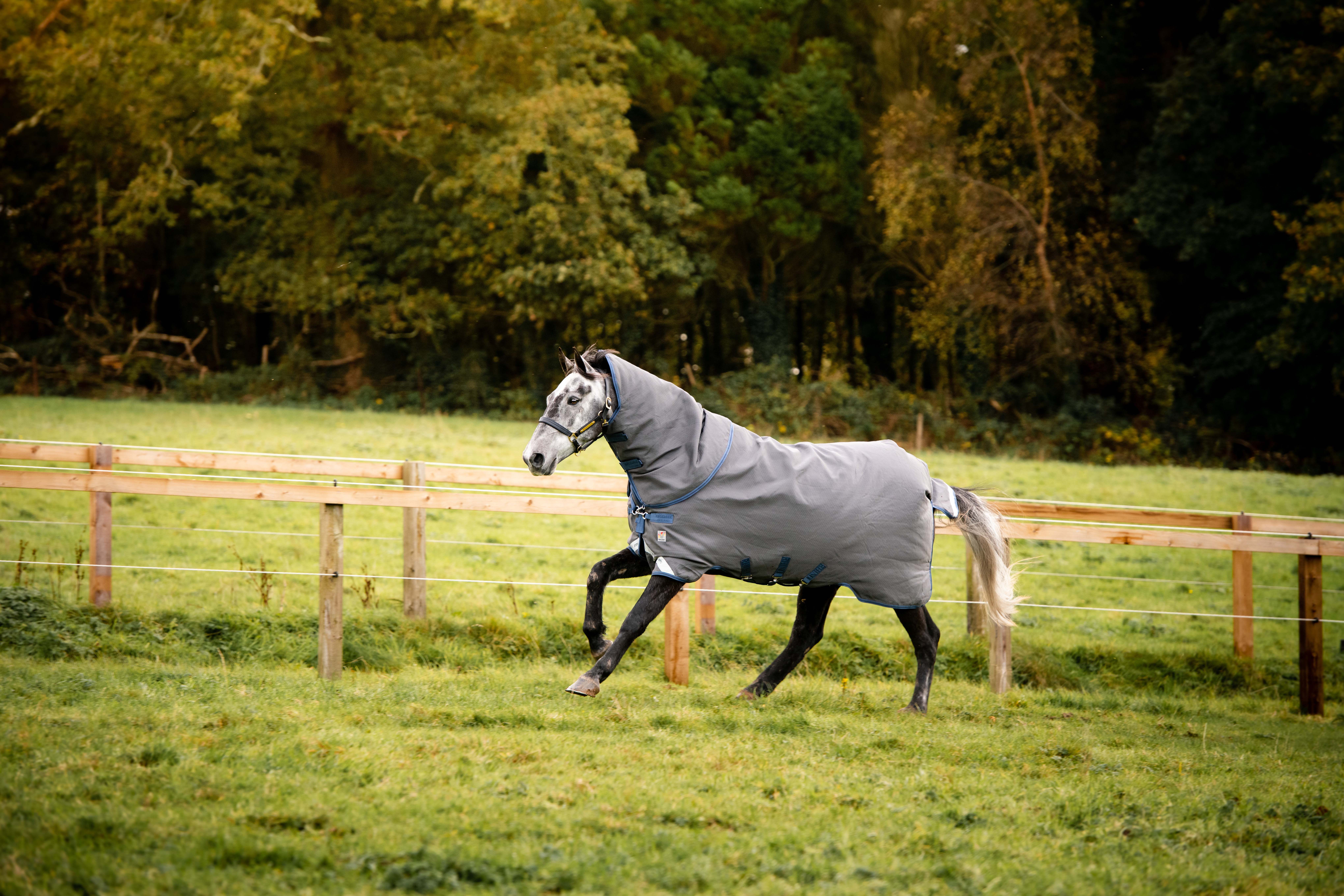 HORSEWARE® Rhino® Hexstop Plus Turnout, 100 g, grey/indigo 