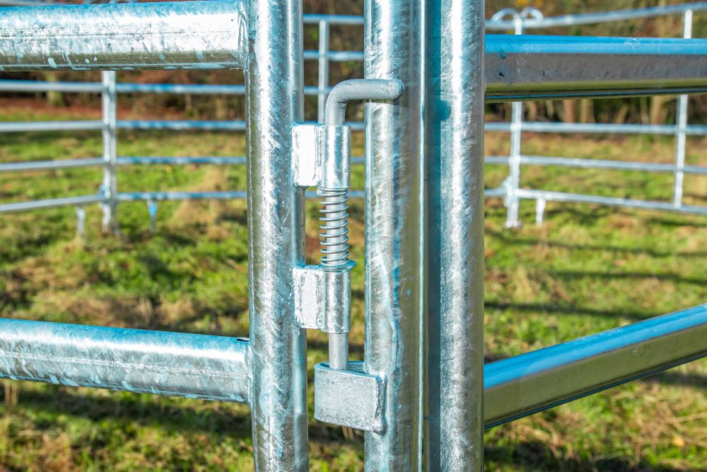 STALLBEDARF24 Weidepanel mit Tor - Höhe: 2,20 m
