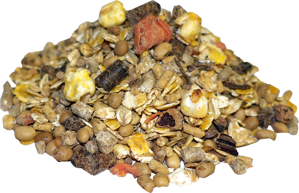 SALVANA KOMPAKT MÜSLI ZUCHT