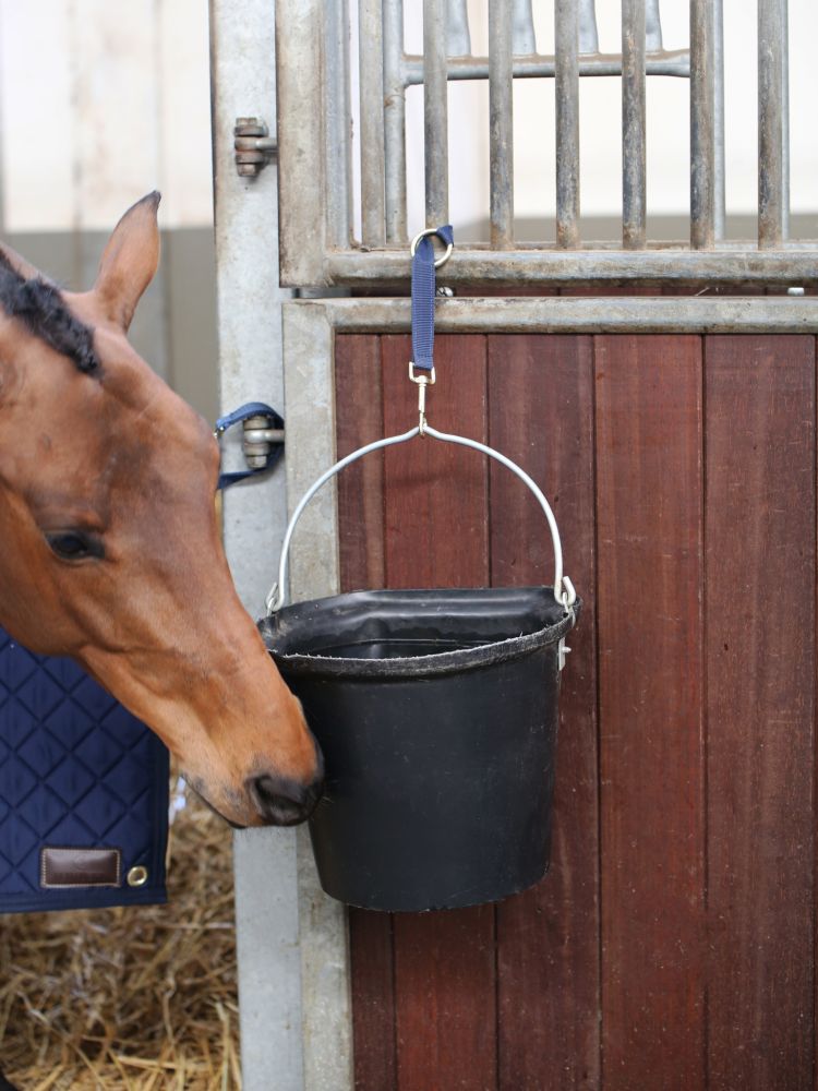 KENTUCKY® HORSEWEAR Nylon Holder