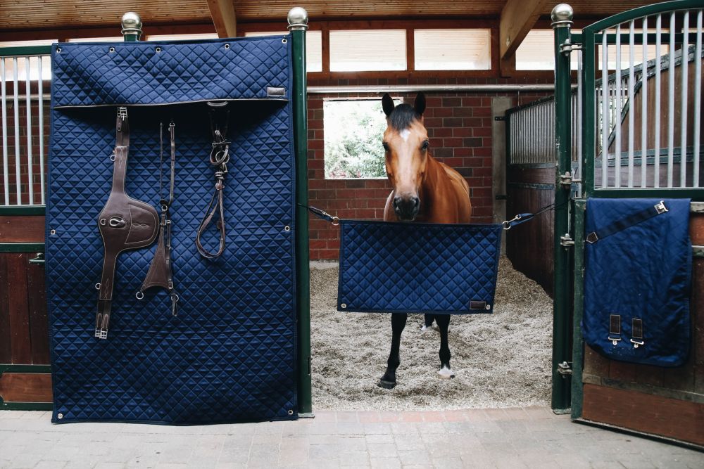 KENTUCKY® HORSEWEAR Stable Guard, marine
