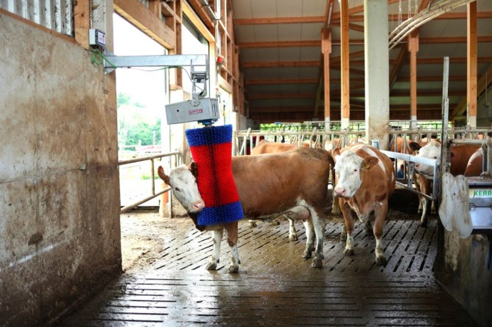 HAPPYCOW Kuhputzmaschine MaxiSwing