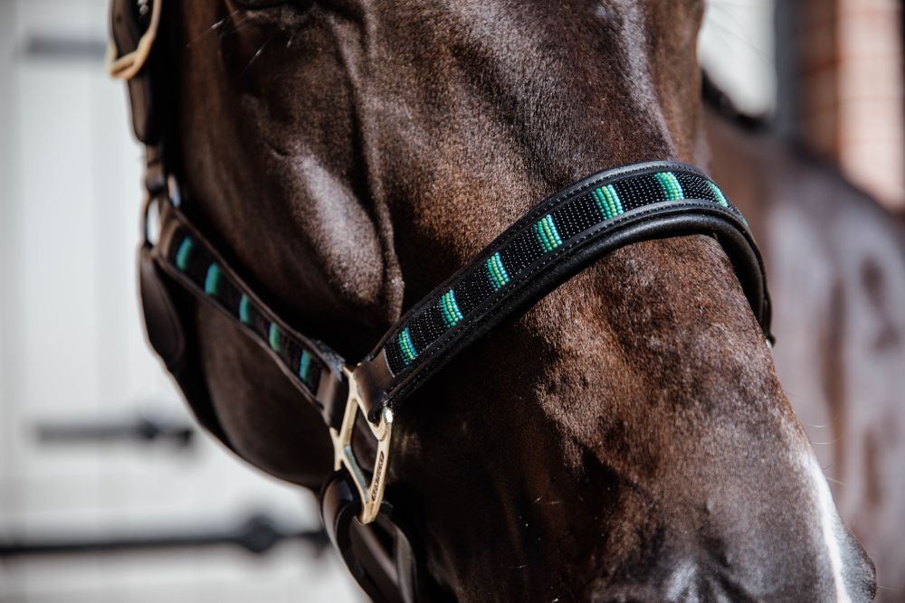KENTUCKY® HORSEWEAR Pearls Halfter, schwarz