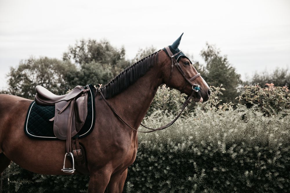KENTUCKY® HORSEWEAR Fliegenhaube Wellington Cord, pinien-grün