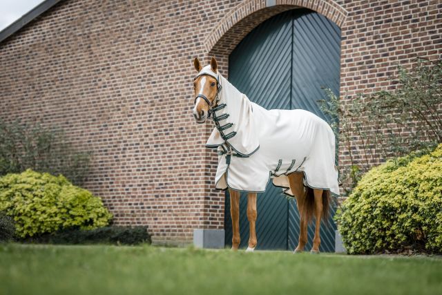 Ein braunes Pferd trägt die silberne Horseware Fliegendecke Rambo Hoody mit grünen Details vor einem Stallgebäude.
