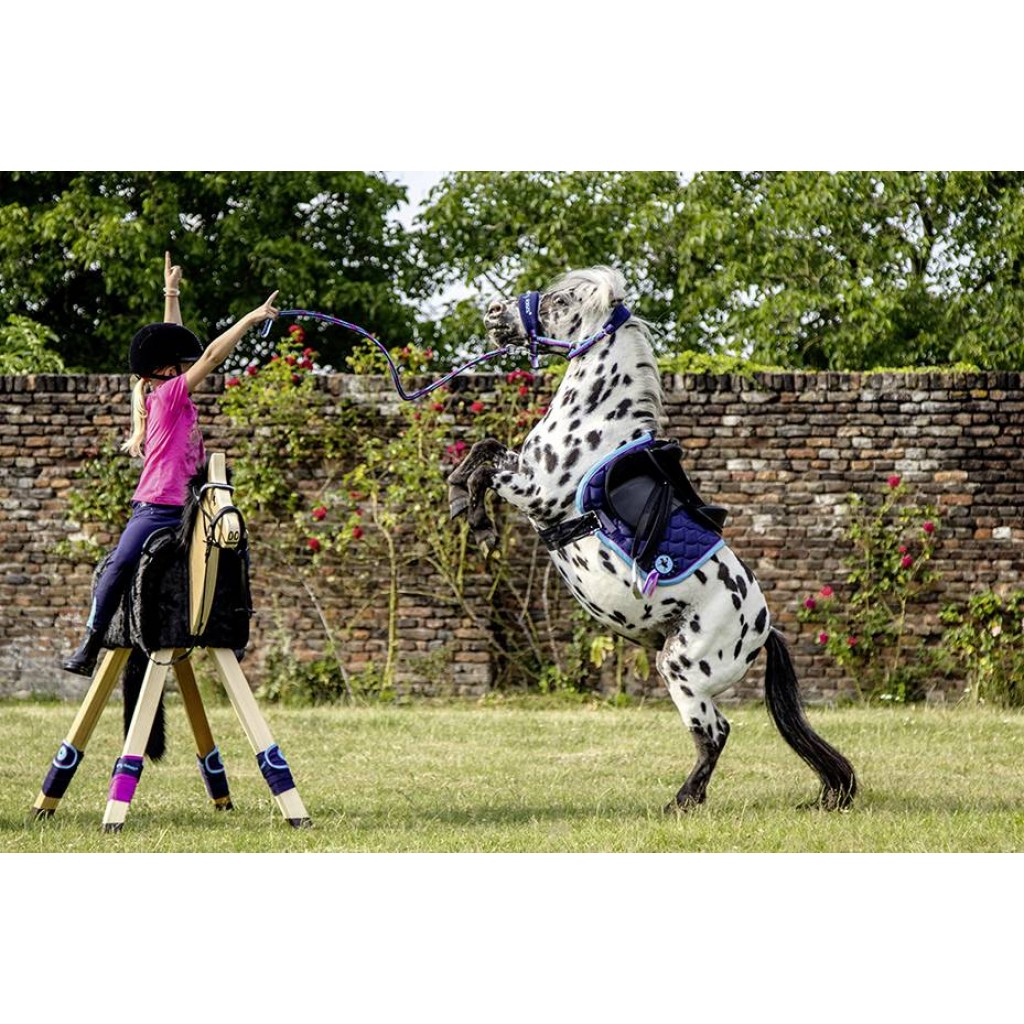 Schabracke -Funny Horses-