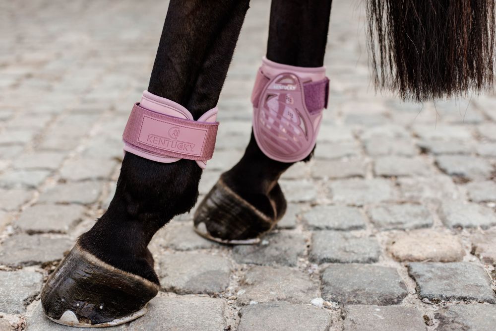 KENTUCKY® HORSEWEAR Streichkappe Young Horse, altrosa