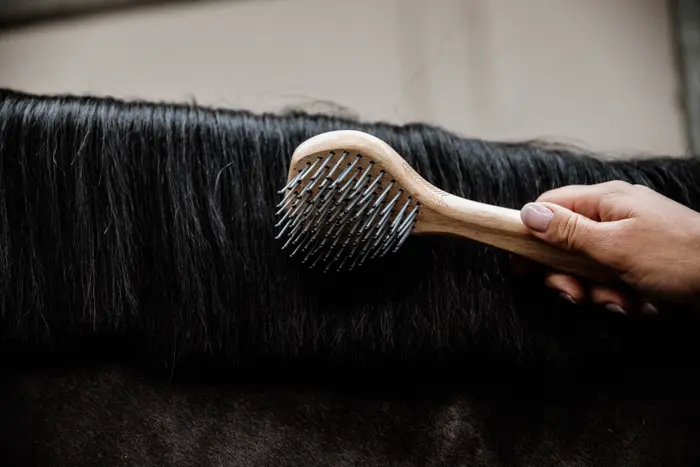 KENTUCKY® GROOMING DELUXE Mähnenbürste