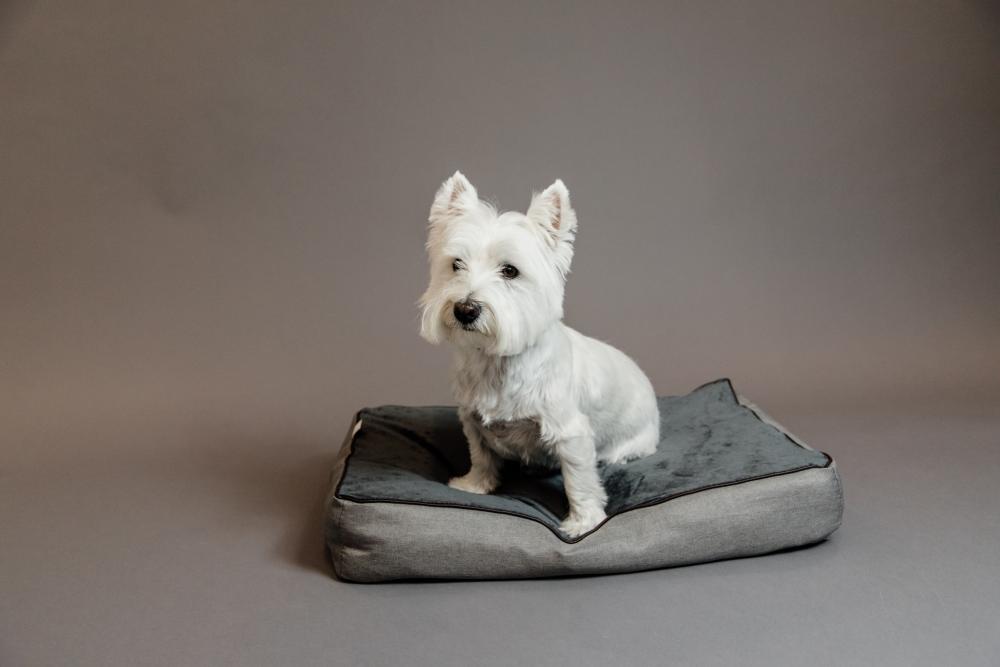 KENTUCKY® DOGWEAR Hundebett Soft Pillow, grau