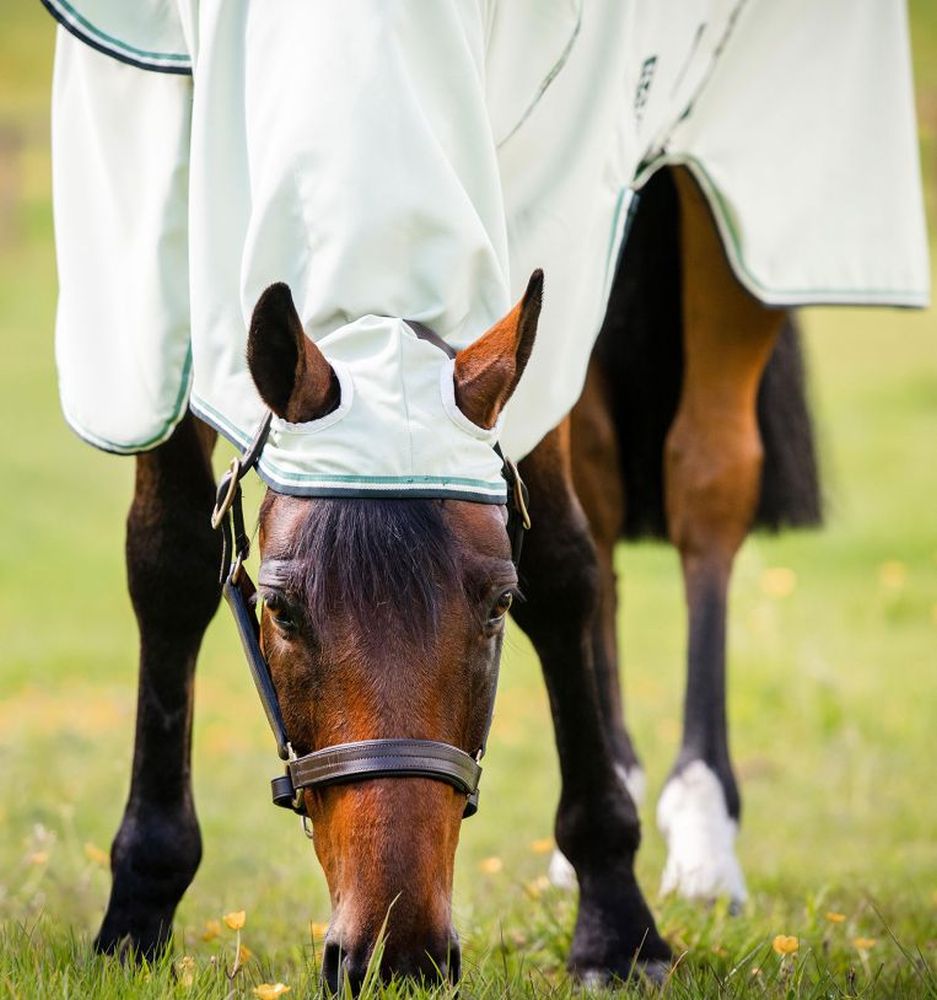 HORSEWARE® Fliegendecke Rambo® Hoody, green/silver