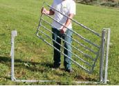 Schwing-Schiebetor, für Schafe