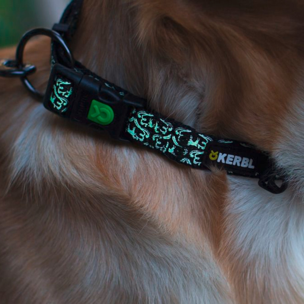 KERBL Halsband Shiny Night