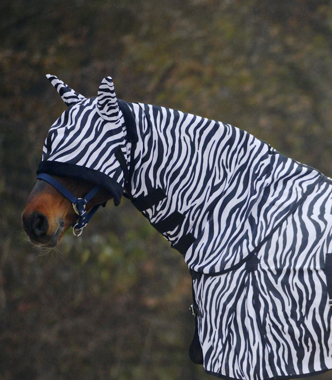WALDHAUSEN Fliegenhalsdecke Zebra