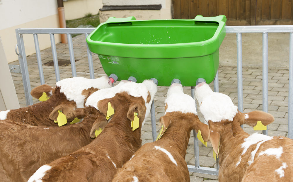 KERBL Kälbertränkewanne Multi Feeder ohne Portionierung