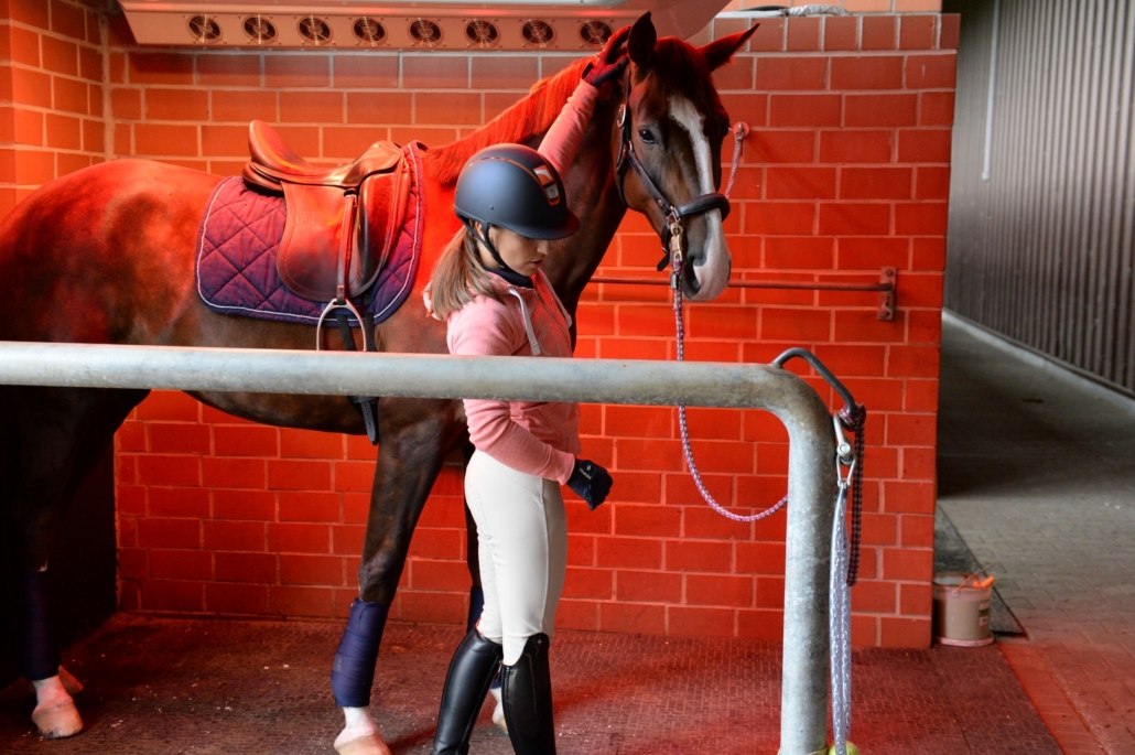 SUMMERWIND Pferdesolarium Premium Eine Reiterin mit Helm steht bei ihrem gesattelten braunen Pferd unter dem roten Licht des Summerwind Premium Pferdesolariums.