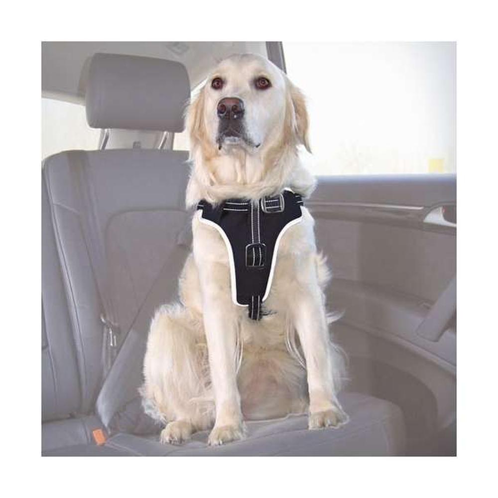 TRIXIE Auto-Sicherheitsgeschirr Dog Protect