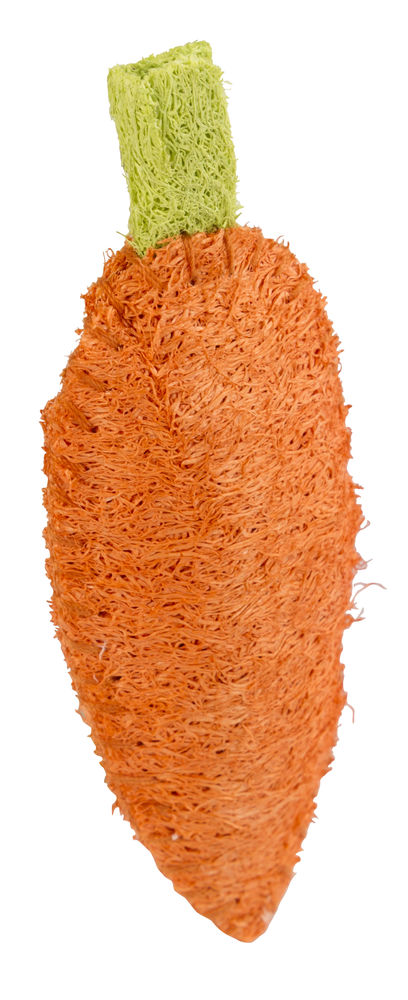 Luffa Karotte