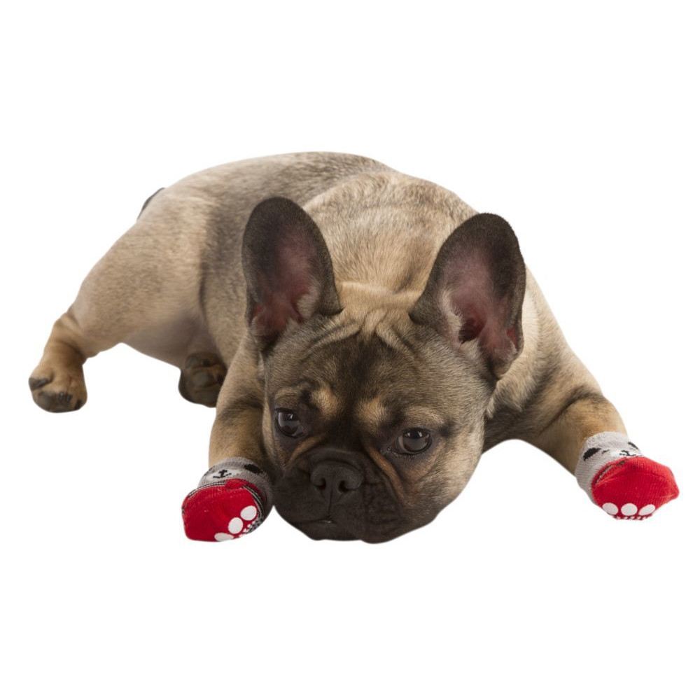 Hundesocken Bruno