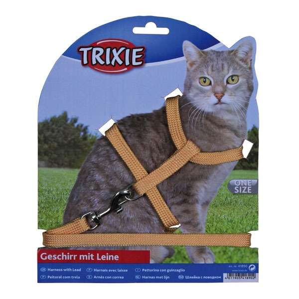 Katzen-Garnitur mit Leine