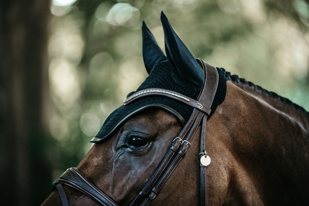 KENTUCKY® HORSEWEAR Fliegenhaube Wellington Leder, schwarz