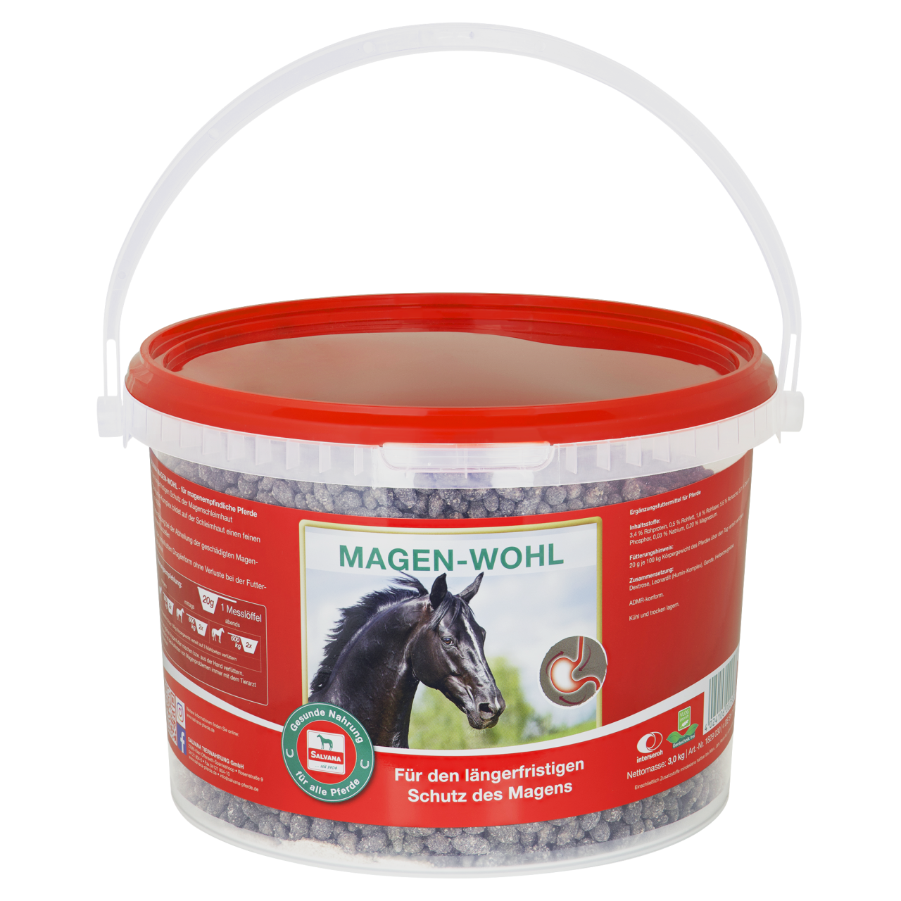 SALVANA MAGEN-WOHL