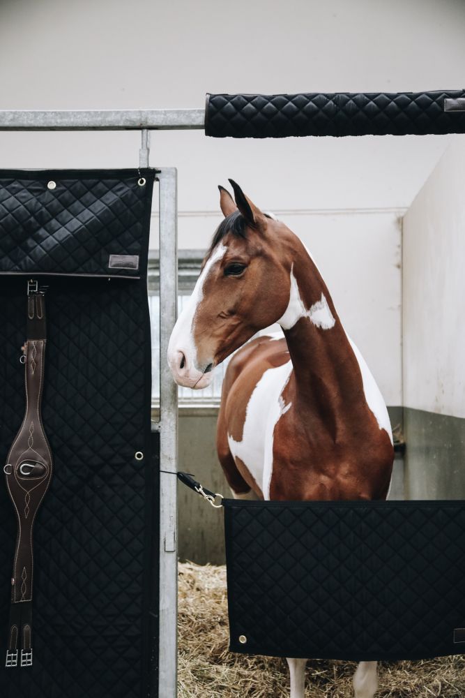 KENTUCKY® HORSEWEAR Stable Guard, schwarz