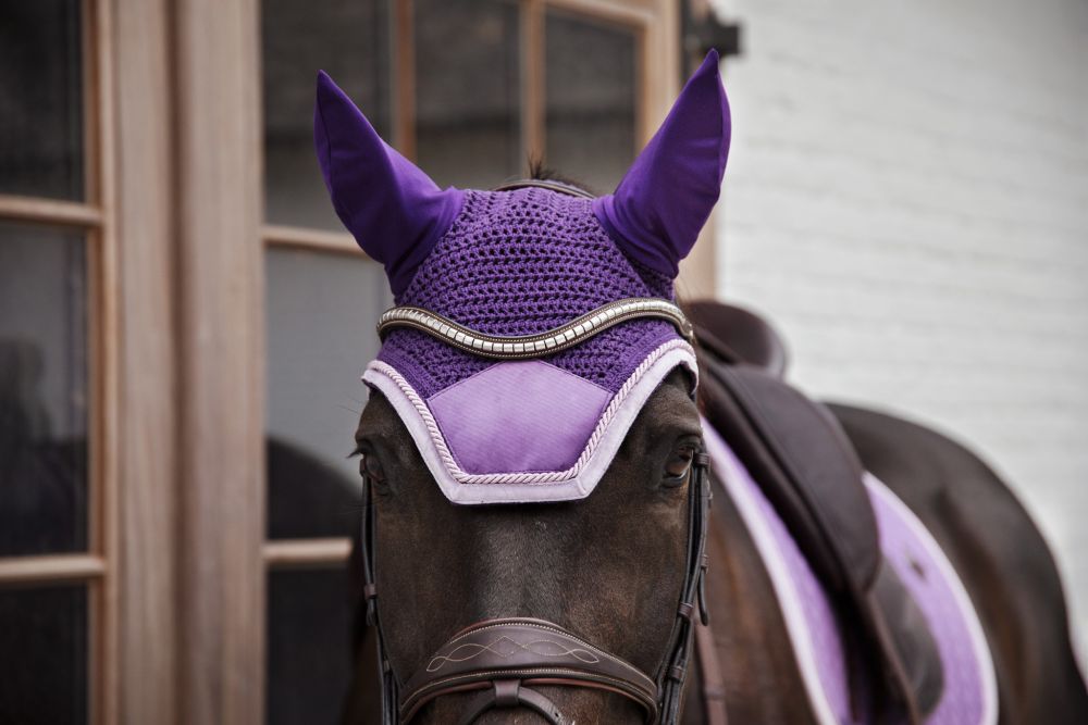 KENTUCKY® HORSEWEAR Fliegenhaube Wellington Velvet Contrast, königliches violett
