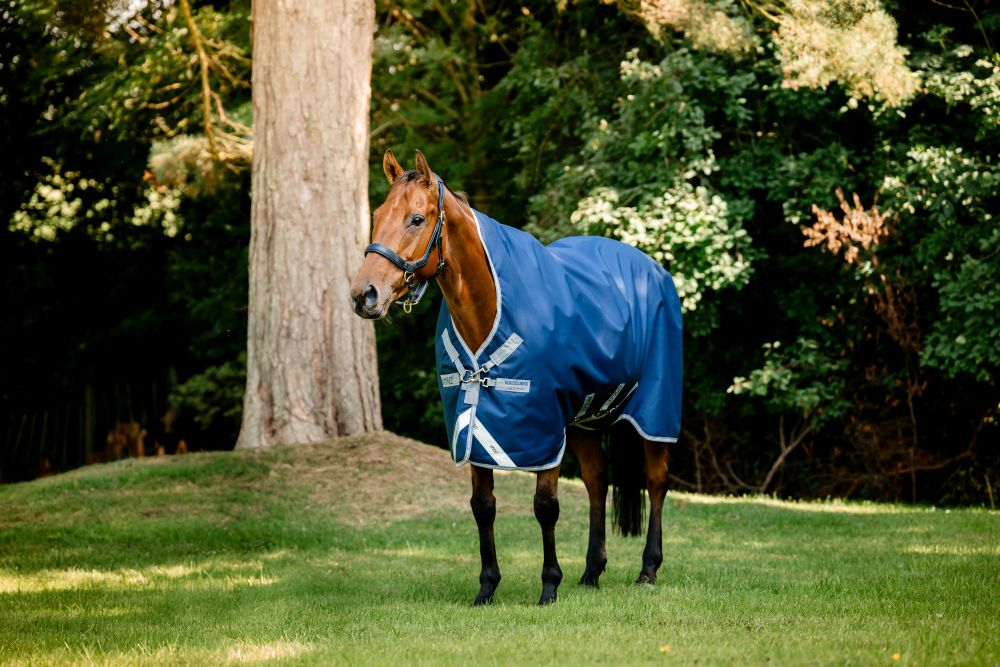 HORSEWARE® Amigo® Bravo 12 Wug Turnout, 0 g, navy/titanium