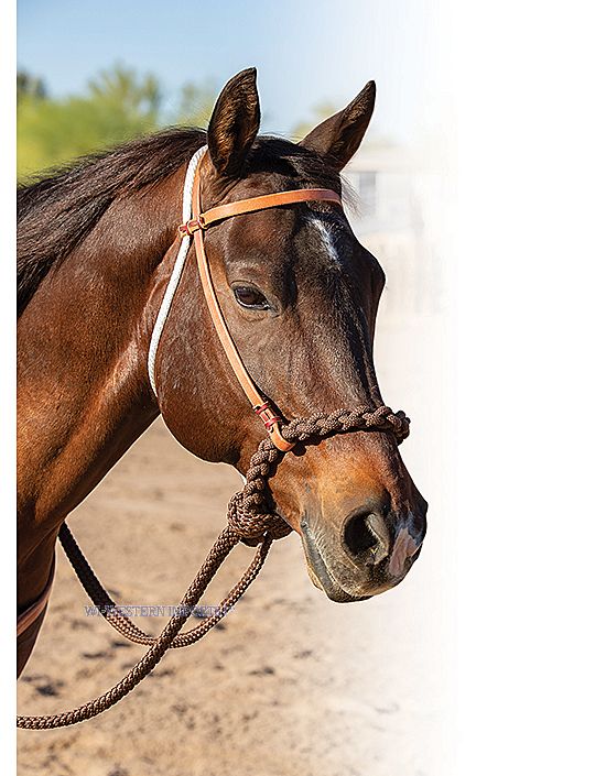 WESTERN IMPORTS® Loping Hackamore