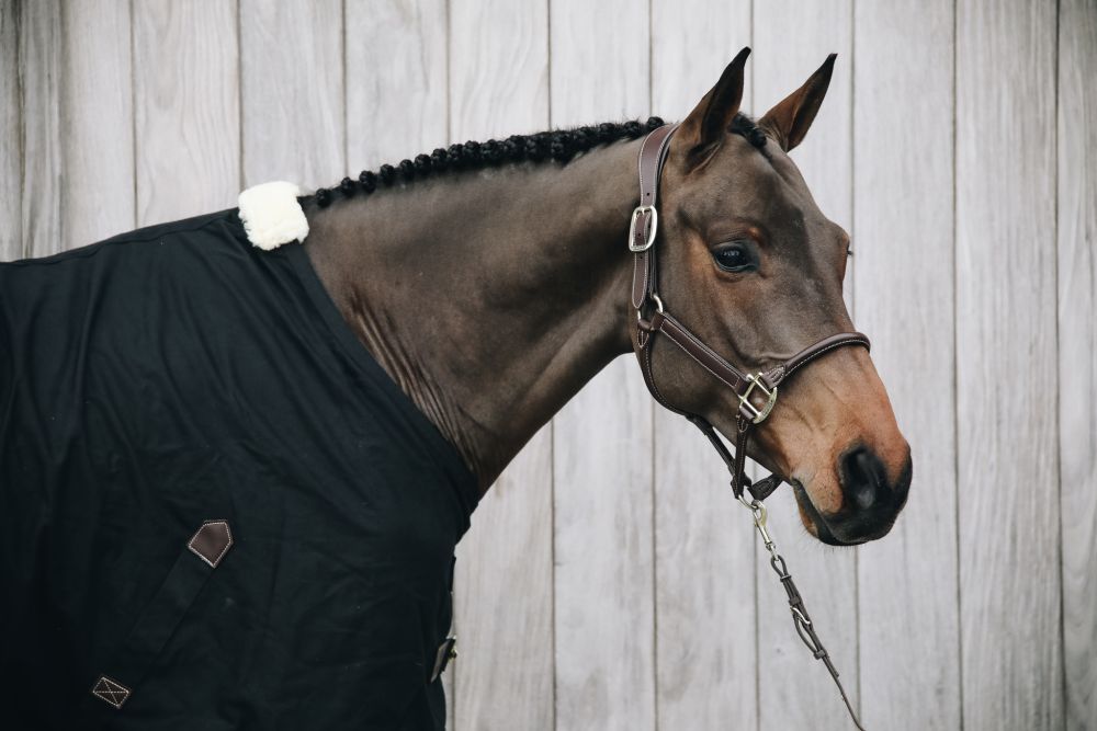 KENTUCKY® HORSEWEAR Allrounddecke Cotton Sheet, schwarz