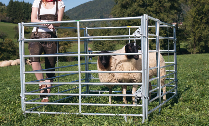 Weidepanel Mini - Höhe 1,10 m