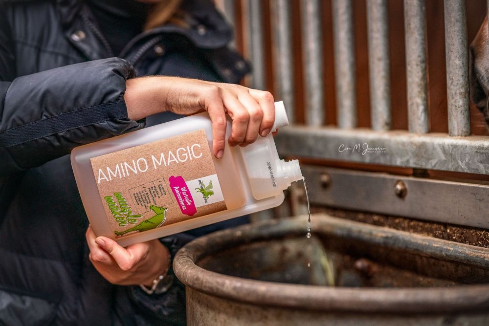 BENSE & EICKE AMINO MAGIC