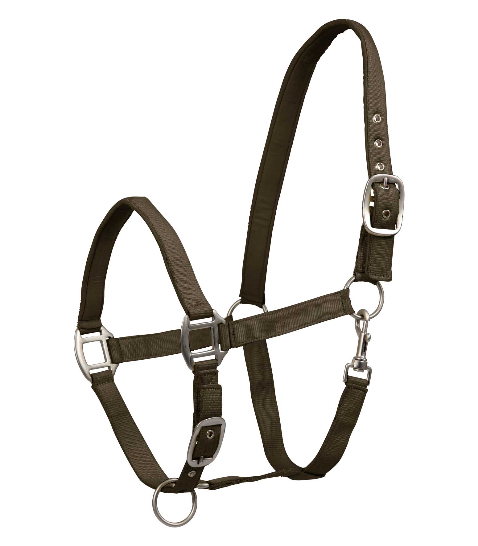 WALDHAUSEN Halfter Satin, grünbraun