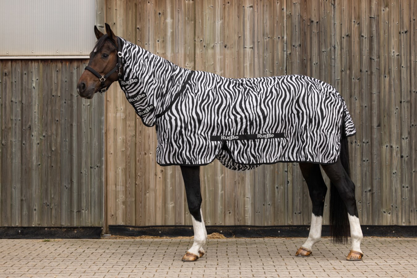 Pferd von der Seite mit der Kerbl Fliegendecke RugBe im schwarz-weißen Zebramuster inklusive Halsteil