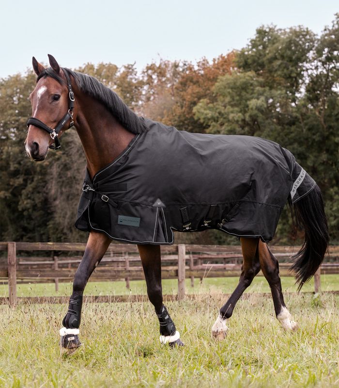 WALDHAUSEN SCANDIC Multi-Layer Outdoordecke, 250 g / 100 g, schwarz Braunes Pferd in Seitenansicht auf einer Weide trägt die schwarze SCANDIC MultiLayer Outdoordecke 250g 100g.