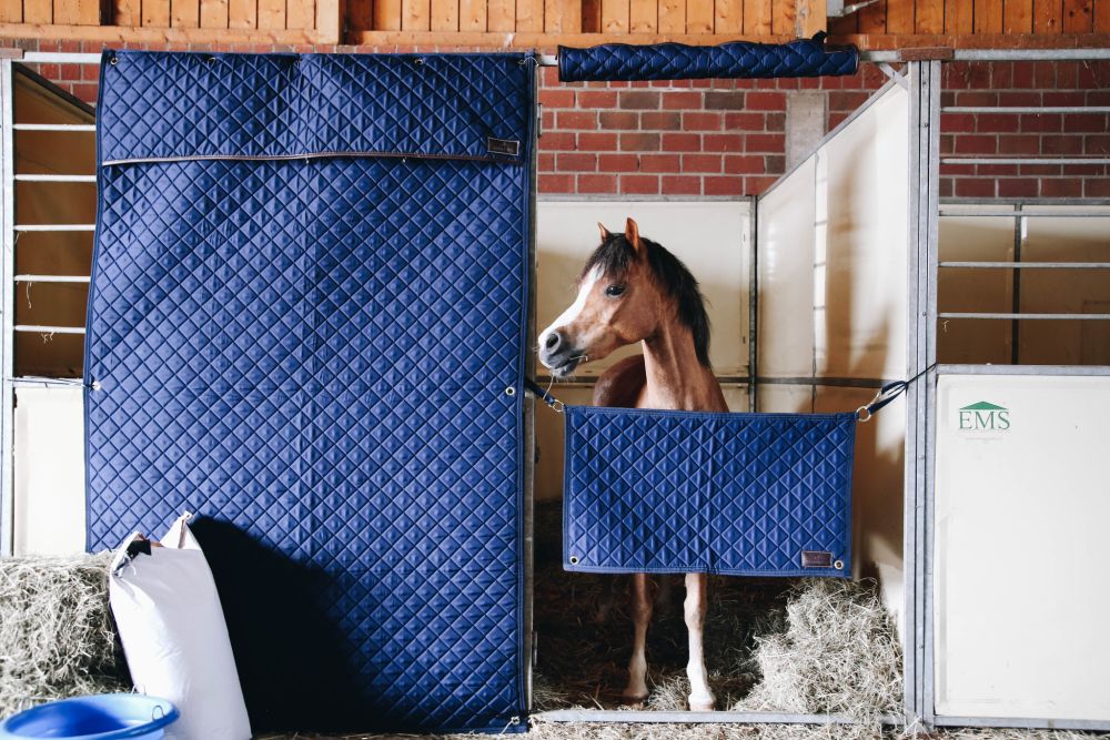 KENTUCKY® HORSEWEAR Stable Guard, marine