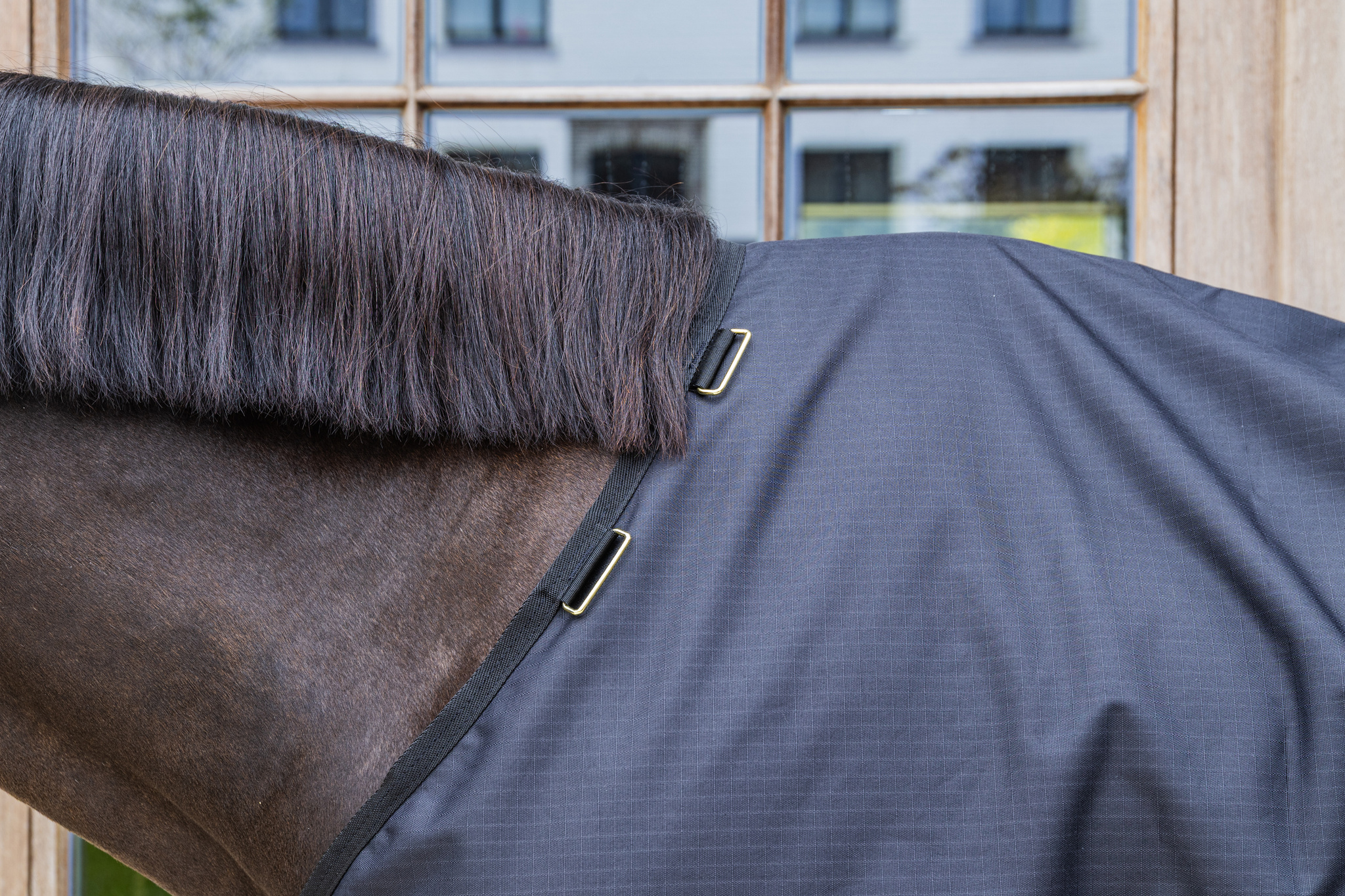 KENTUCKY® HORSEWEAR Winterdecke All Weather Waterproof Classic 0 g, schwarz Detailansicht der schwarzen Weidedecke All Weather Classic am Hals eines Pferdes mit Befestigungsösen für ein Halsteil.