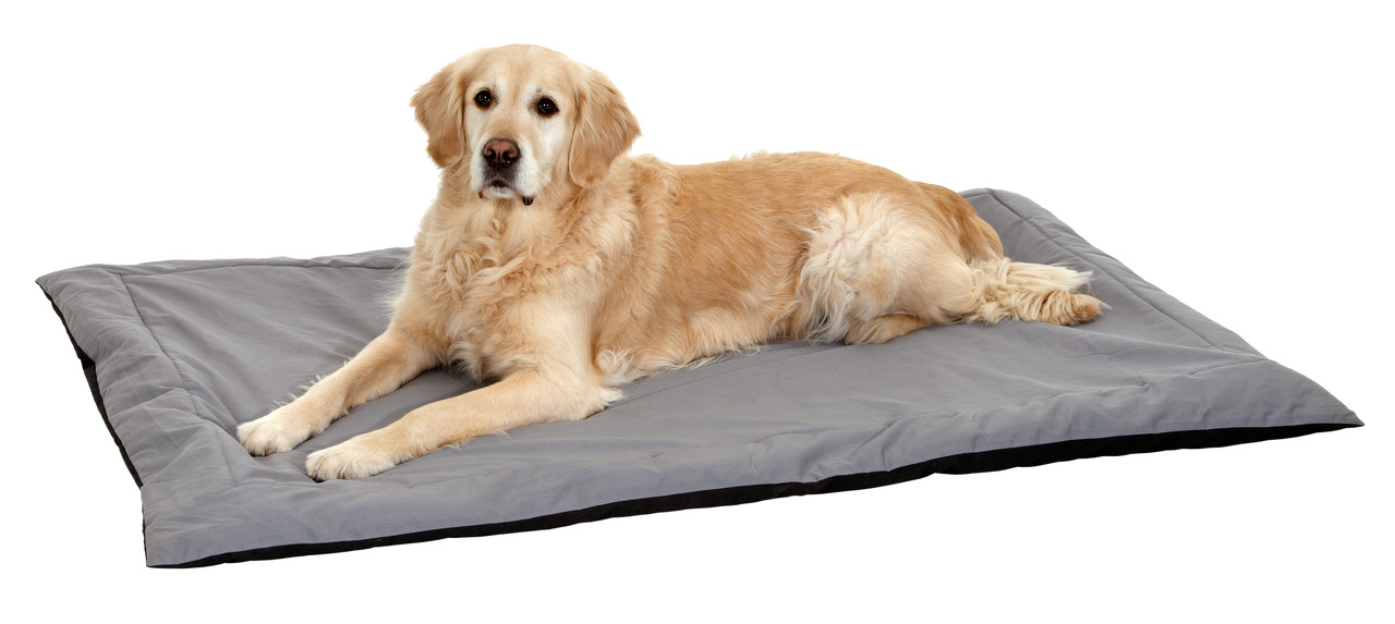 Liegedecke Doc Bed